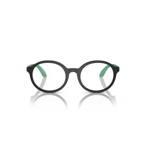 Emporio Armani 3005 Vista – immagine 1