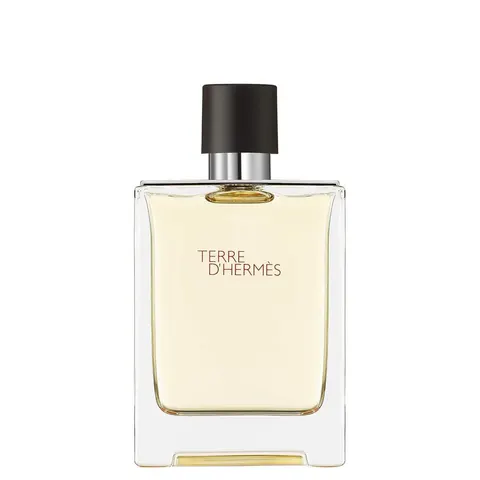 100ml HERMÈS Terre d’Hermès Eau de Toilette – Bild 1
