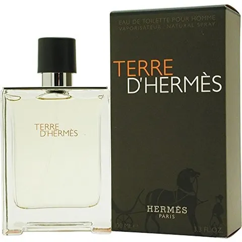 Hermes Terre D'Hermes 100ml EDT Spray – image 1