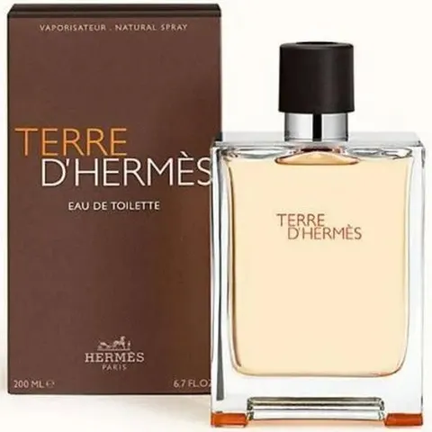 Terre D'Hermes - Eau de Toilette - 200ml – image 1