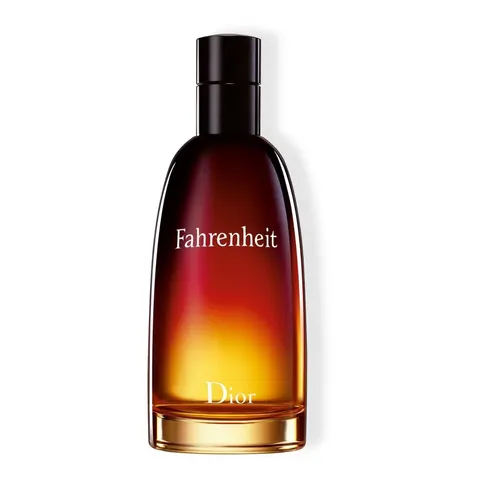Dior Fahrenheit Eau de Toilette 100ml – image 1
