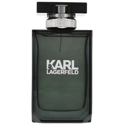 Karl Lagerfeld for Him EDT M 100 ml – image 1