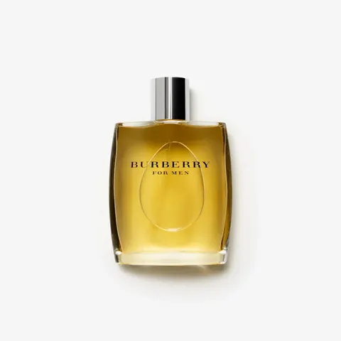 Burberry M EDT M 100 ml – image 1