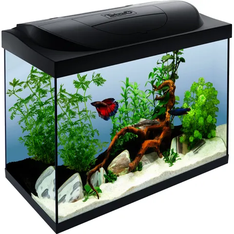 Tetra Starter Line 30L Goldfish Tank with Filter & LED – image 1