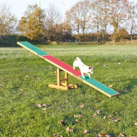 Trixie Bascule d’agility – image 1