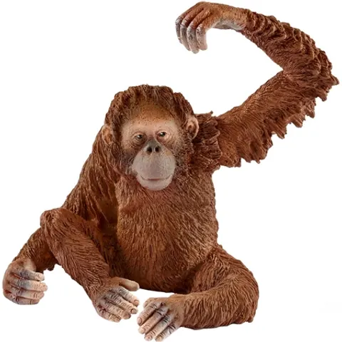 Schleich Orangutan Hun - 14775 – image 1