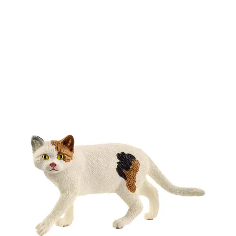 Schleich Amerikaanse Korthaar Kat - 13894 – afbeelding 1