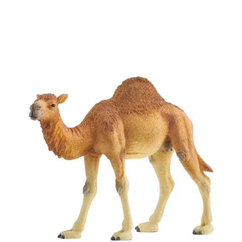 Schleich dromedaris - 14832 – afbeelding 1