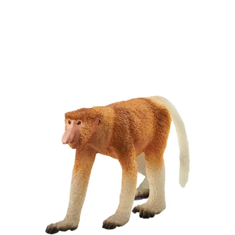 Schleich Scimmia nasuta - 14846 – immagine 1