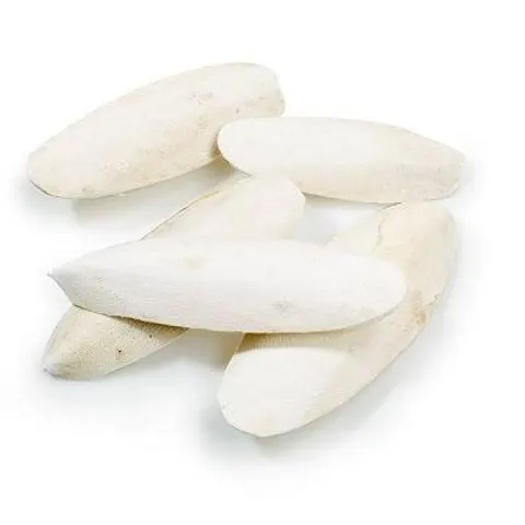 Classic Cuttlebones 5lb 2.27kg – image 1
