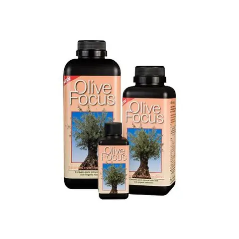 Growth Technology Olive Focus Plant Feed 1L Multi 300ml 1 – image 1
