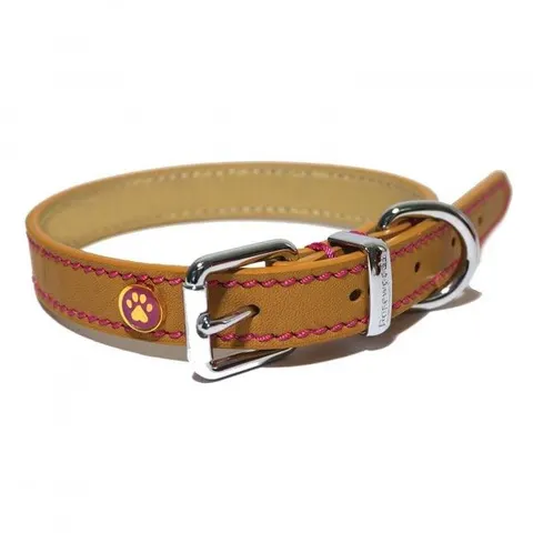 Lux Leather Tan Collar 10-14" x 1/2" – image 1