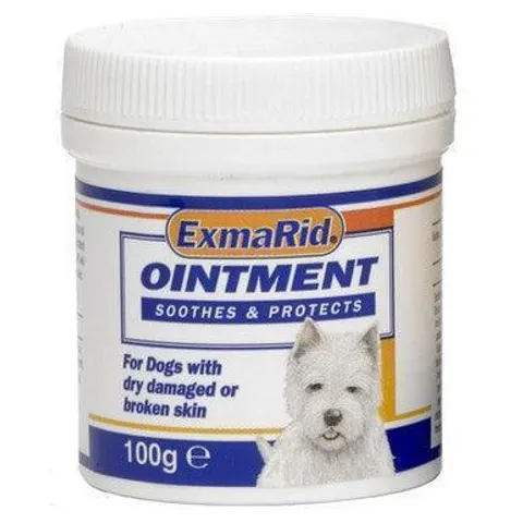 (Single (100g)) ExmaRid Ointment – image 1