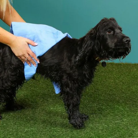 Pet Brands Just Chillin' Cooling Towel 40x30cm – image 1