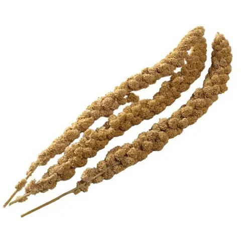 Bucktons Millet Spray 15kg – image 1
