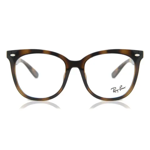 Ray-Ban 4379VD (2012) - RB 4379VD 2012 – immagine 1