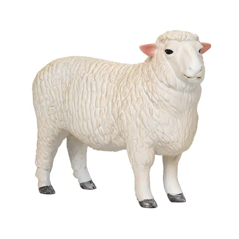 Romney Sheep Ram – image 1