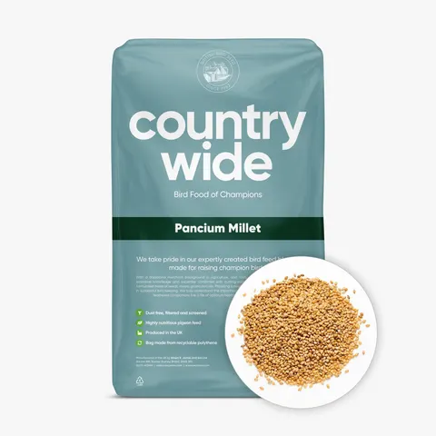 Countrywide panicum millet seed 20kg – image 1