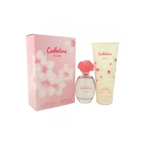 Dana Rapport Sport 100ml EDT Spray – image 1