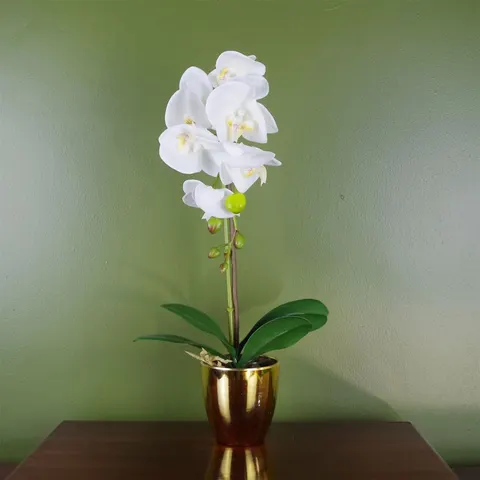 46cm Artificial Orchid White and Gold – image 1