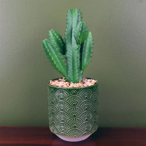 Artificial cactus cacti planter green ceramic botanik – image 1