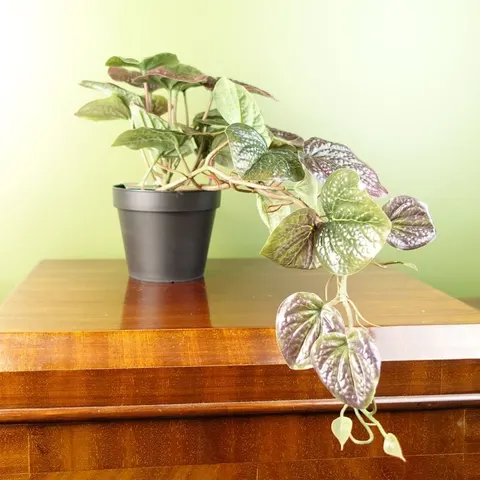 Artificial Trailing Purple Potted Pothos Plant Botanik – image 1