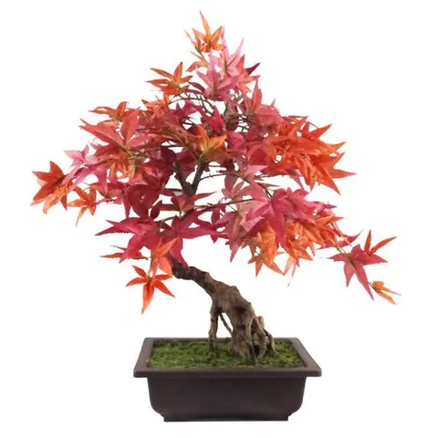 50cm Artificial Red Maple Bonsai Tree – image 1