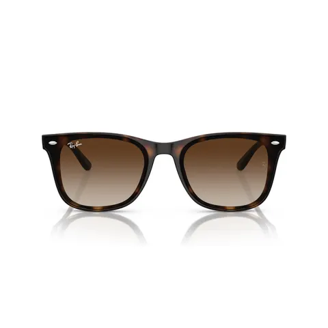 Ray-Ban 4420 (710/13) – immagine 1