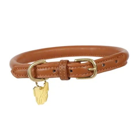 Shires Digby & Fox Rolled Leather Dog Collar - Tan / S – image 1
