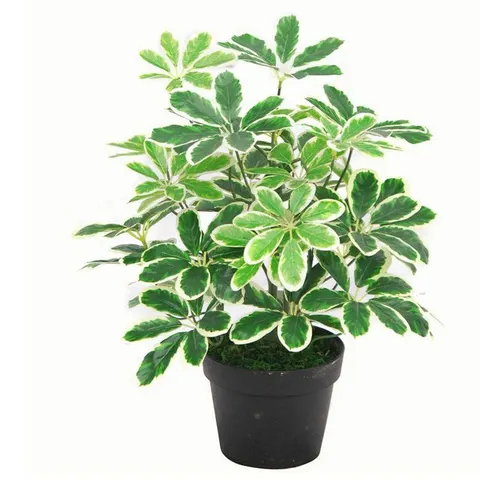 55cm Variegated Artificial Schefflera Arboricola Plant – image 1