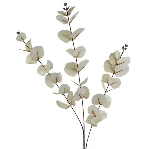 80cm White Eucalyptus Foliage Stem – image 1