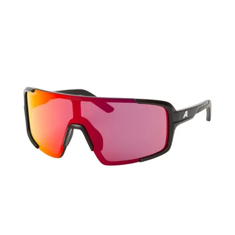 Lunettes de soleil Alpina Lumin – Noir – 334565 – image 1