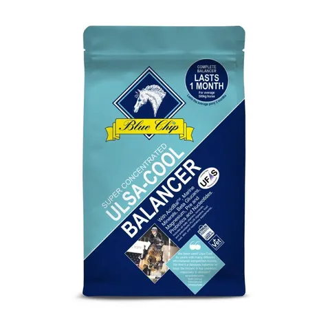 Blue Chip SC Ulsa-Cool Balancer 3kg – image 1