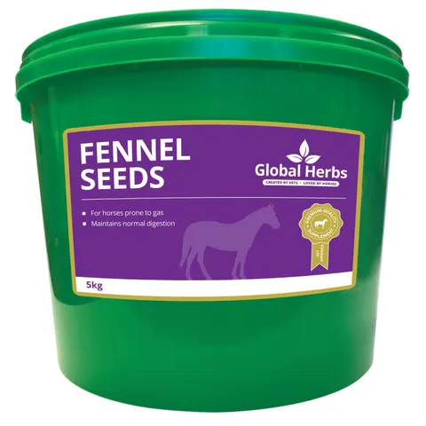 Fennel Seeds - Global Herbs - 5kg – image 1