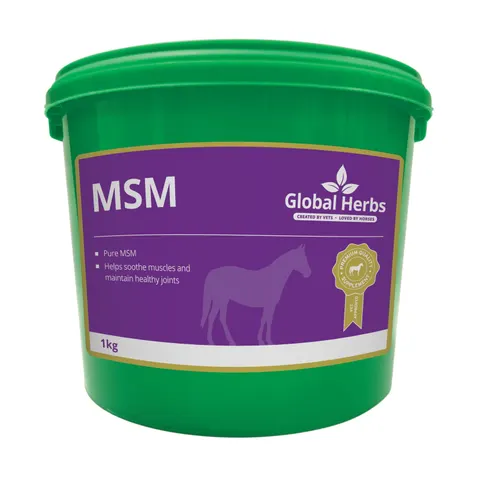 MSM 1kg - Global Herbs – image 1