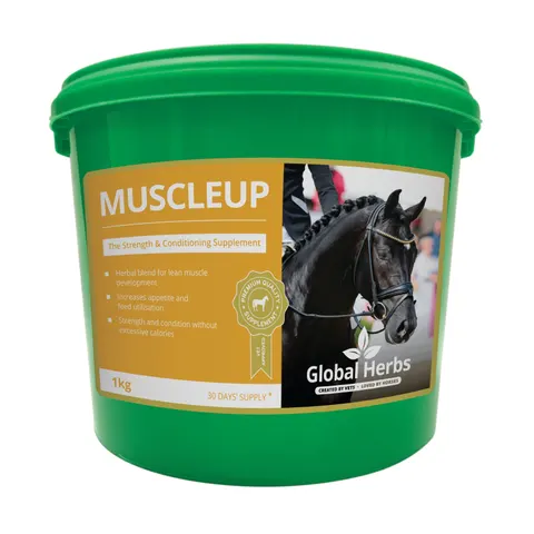 Global H Muscle Up – image 1