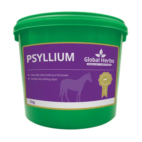 Psyllium 1kg - Global Herbs – image 1