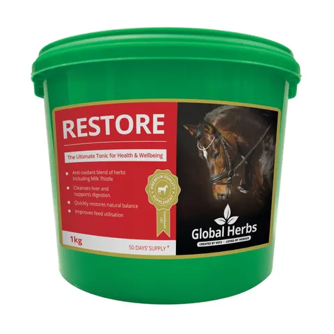 Global H Restore – image 1