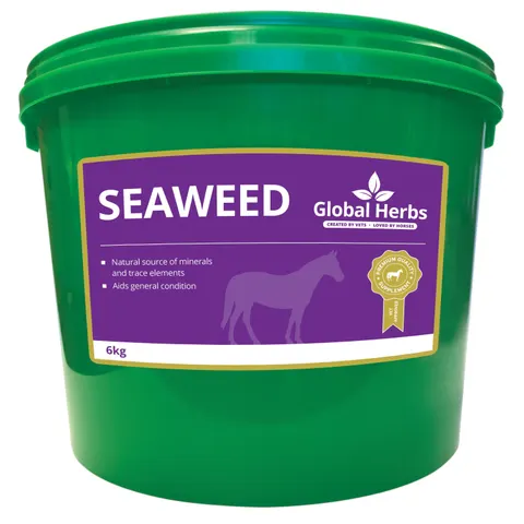 Seaweed - Global Herbs - 6kg – image 1