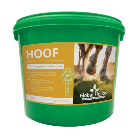 Global H Hoof – image 1