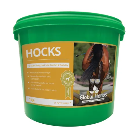 Global H Hocks – image 1
