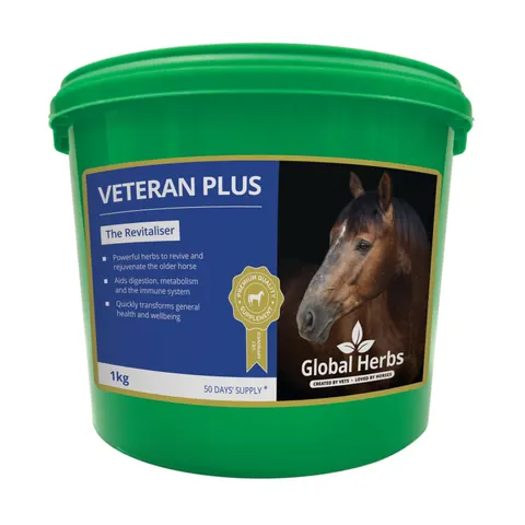 Global H Veteran Plus – image 1