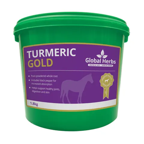 Global H Turmeric Gold – image 1