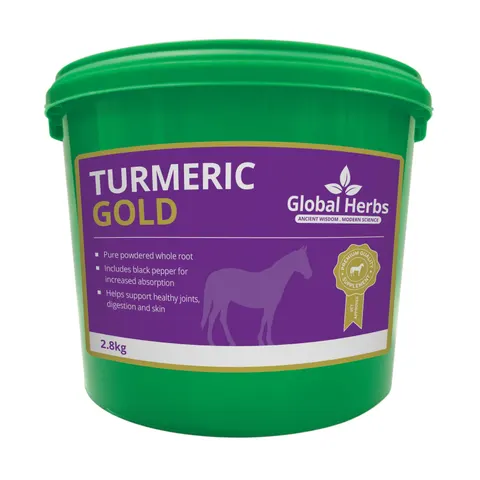 Turmeric - Global Herbs - 2.8 kg – image 1