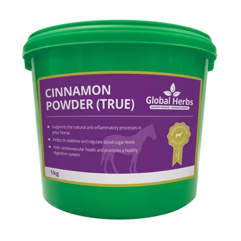 Global H Cinnamon Powder (True) 1kg – image 1