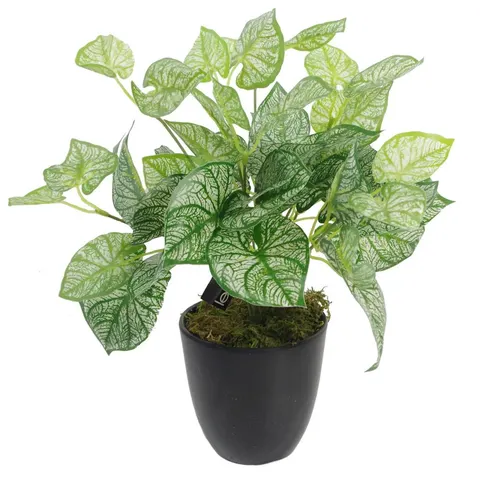Artificial Foliage Plant Pot 40cm Caladium Plants – image 1