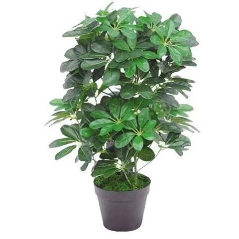 Artificial Evergreen Plant 55cm Small Plant 55cm – image 1
