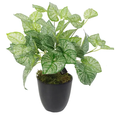 Artificial Fern Plant 40cm Caladium Plants – image 1