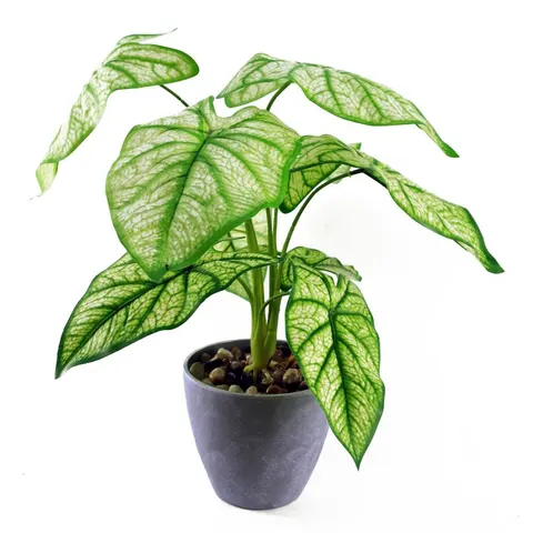 40cm Artificial Taro in Decorative Planter – image 1