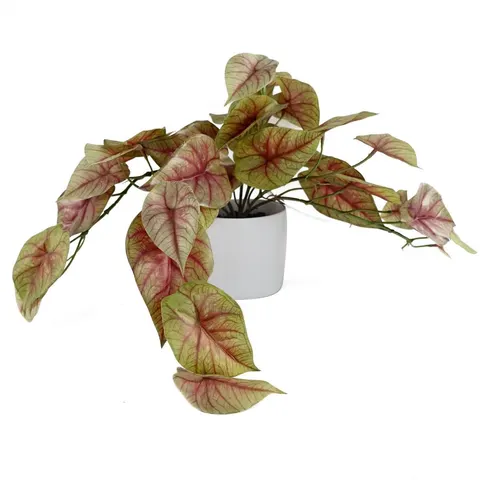 30cm Artificial Pink Caladium Potted Trailing Plant – image 1